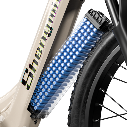 Shengmilo S700,2000W Dual Motor,Electric Bike with 48V 17.5AH Samsung battery and fat tire close-up